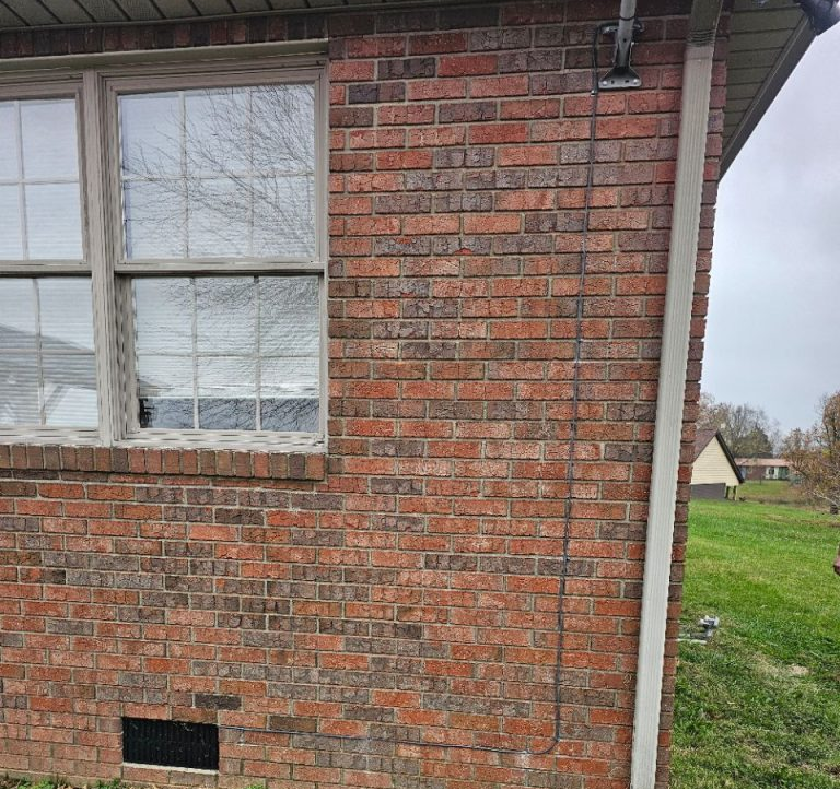 Starlink cable management