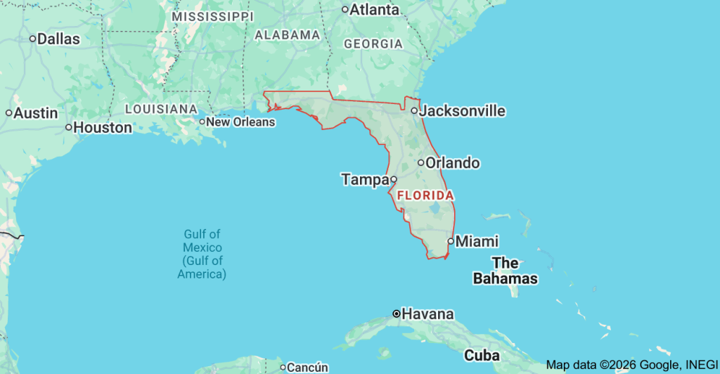 Best Starlink installers in Tampa FL